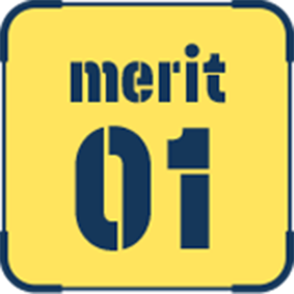 merit 01